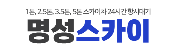 명성스카이_로고